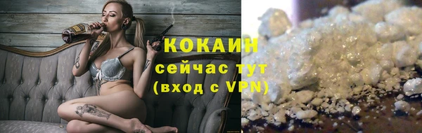 дживик Арсеньев