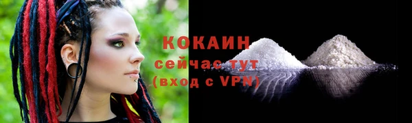 крисы Армянск