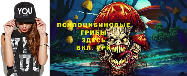 крисы Армянск
