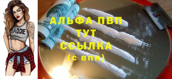 дживик Арсеньев