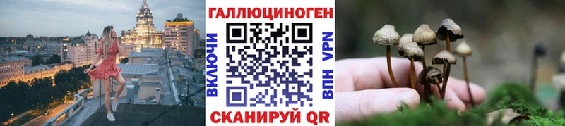 Псилоцибиновые грибы Cubensis ОМГ ОМГ как войти Нефтекумск даркнет сайт